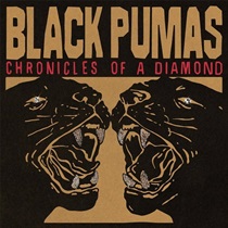 CHRONICLES OF A DIAMOND (CLEAR VINYL)
