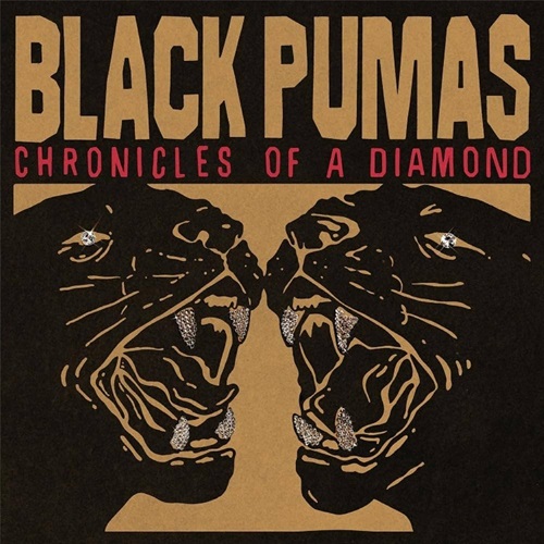 CHRONICLES OF A DIAMOND (CLEAR VINYL)