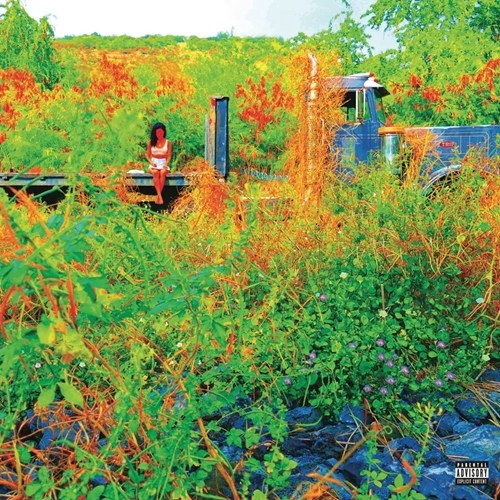 TRIP (2LP - PICUTRE DISC)