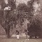 DEATH TAPE 1: BLACK COTTONWOOD