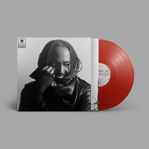 DISTRACTED RED(1LP)