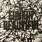 FUNKIN BEAUTIFUL(1LP)
