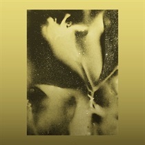 1983 GOLD SPLATTER(1LP)