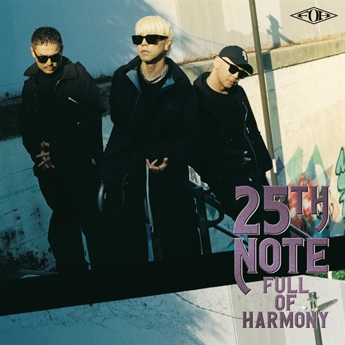 25TH NOTE (12inch レコード)