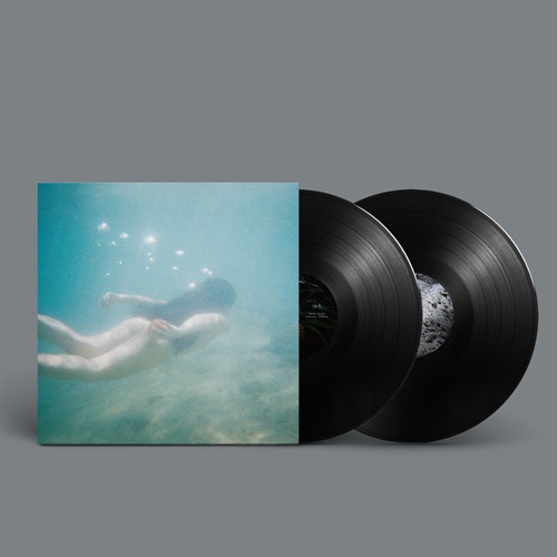アダンの風(2LP) / Windswept Adan