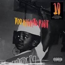 TOO HIGH TO RIOT(LTD 10TH ANNIVERSARY)