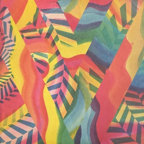 DUBLAB PRESENTS: ECHO EXPANSION (USED)