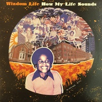 HOW MY LIFE SOUNDS (USED)
