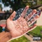 THE BIG DAY (CD)