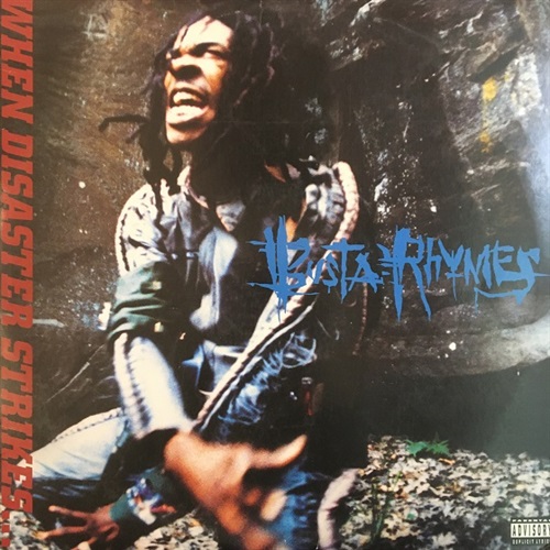 WHEN DISASTER STRIKES (USED)