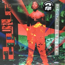 STRICTLY 4 MY N.I.G.G.A.Z...