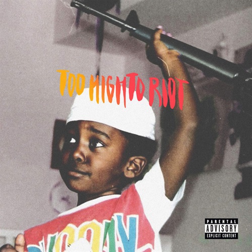 TOO HIGH TO RIOT