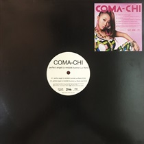 PERFECT ANGEL DJ HASEBE SUMMER LUV REMIX (USED)