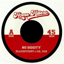 NO DIGGITY/PONY