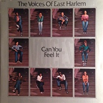 CAN YOU FEEL IT (USED)