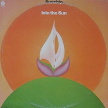 INTO THE SUN (USED)