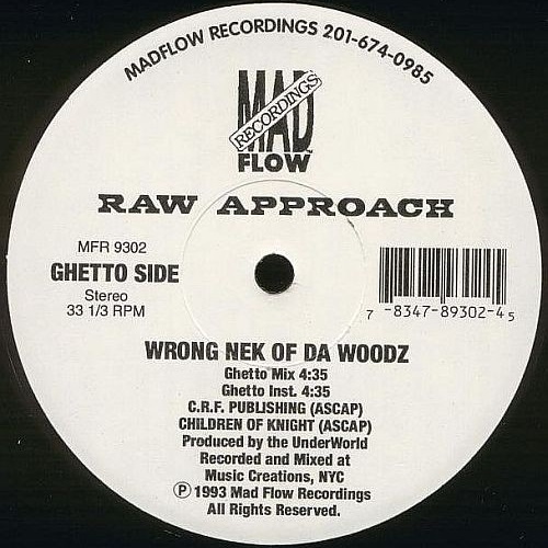 WRONG NEK OF DA WOODZ (USED)