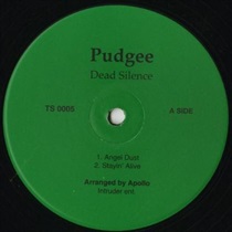 DEAD SILENCE (USED)