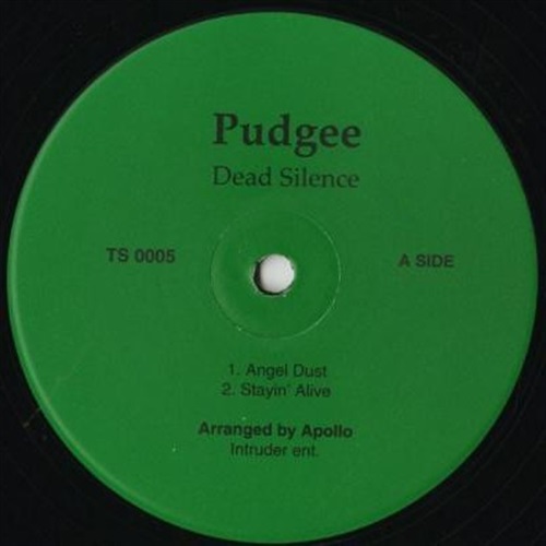 DEAD SILENCE (USED)