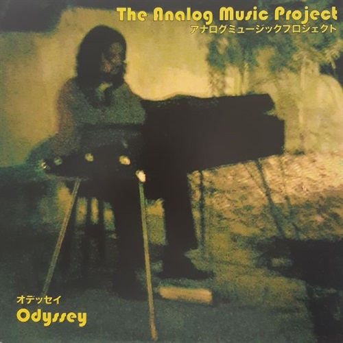 THE ANALOG MUSIC PROJECT (USED)