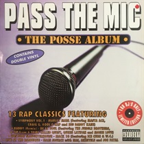 PASS THE MIC (USED)