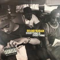 EVERYTHING IS EVERYTHING (USED)