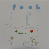 POOL (USED)