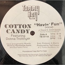 HAVIN FUN (USED)
