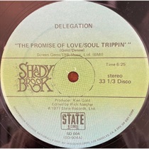 THE PROMISE OF LOVE (USED)