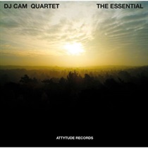 THE ESSENTIAL (LIMITED COLORED VINYL)