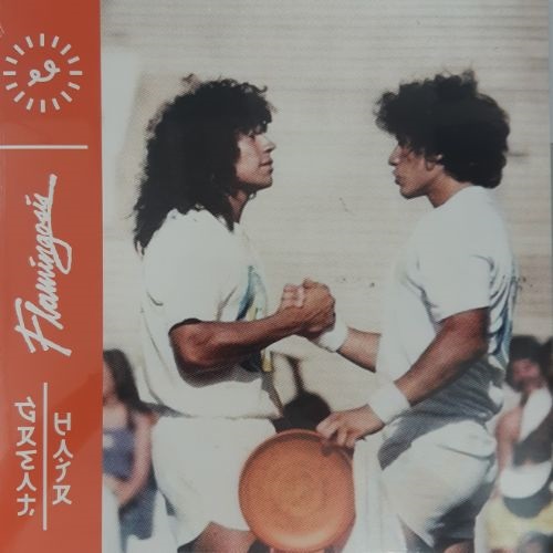 GREAT HAIR (LTD ORANGE VINYL) (USED)