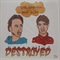 DESTROYED (USED)