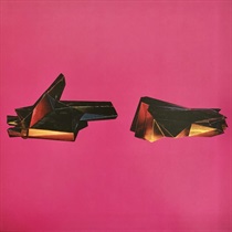 RTJ4 (2 LP)