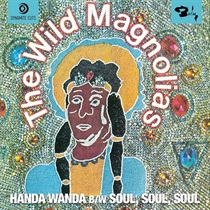 HANDA WANDA
