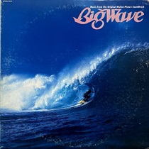 BIG WAVE (USED)