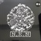 N.E.N (USED)