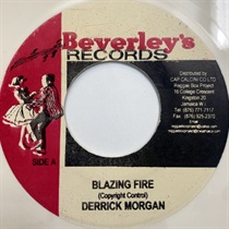 BLAZING FIRE (USED)