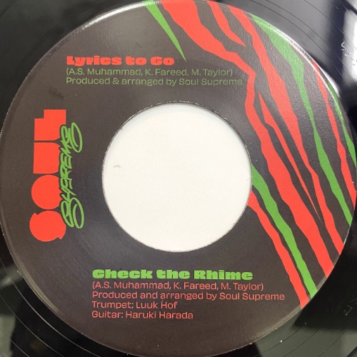 CHECK THE RHIME / LYRICS TO GO (USED)