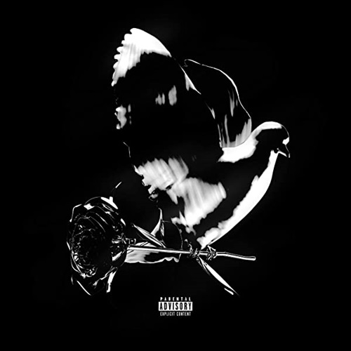 SHOOT FOR THE STARS AIM FOR THE MOON (DELUXE)