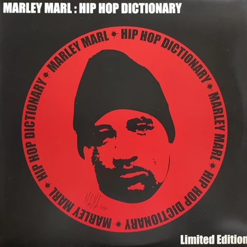 HIPHOP DICTIONARY (USED)