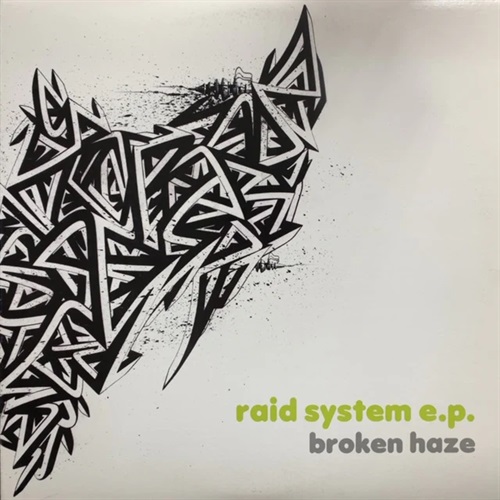 RAID SYSTEM E.P. (USED)