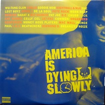 AMERICA IS DYING SLOWLY (USED)