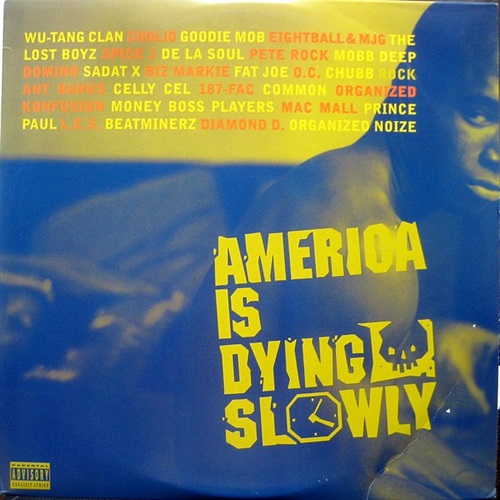 AMERICA IS DYING SLOWLY (USED)