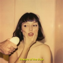BEWARE OF THE DOGS (USED)