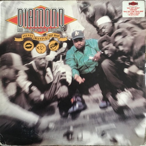 STUNTS BLUNTS & HIPHOP  (USED)