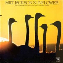 SUNFLOWER (USED)