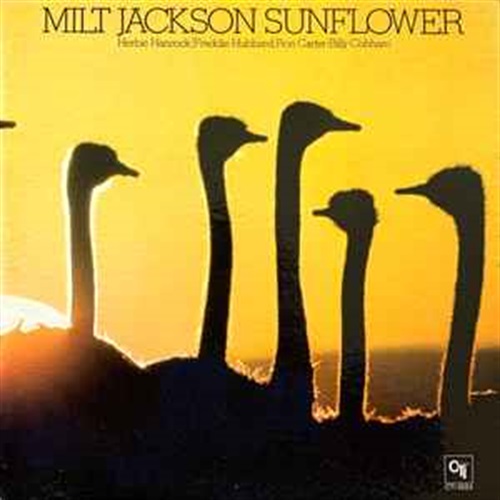 SUNFLOWER (USED)
