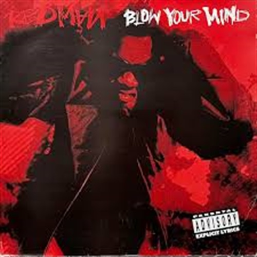 BLOW YOUR MIND (USED)