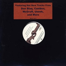 THE FLIP SQUAD ALLSTAR DJS  (USED)