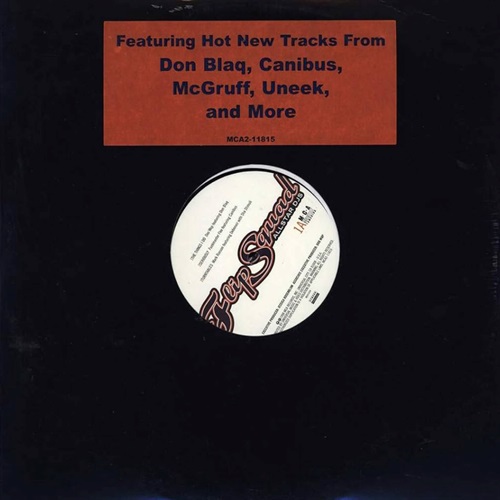 THE FLIP SQUAD ALLSTAR DJS  (USED)